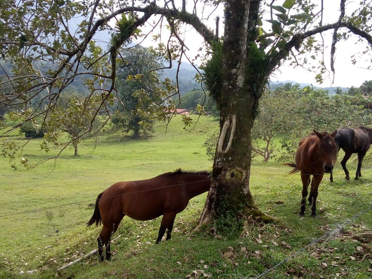 Casona Rustica & Bungalow La Fortuna Esterno foto